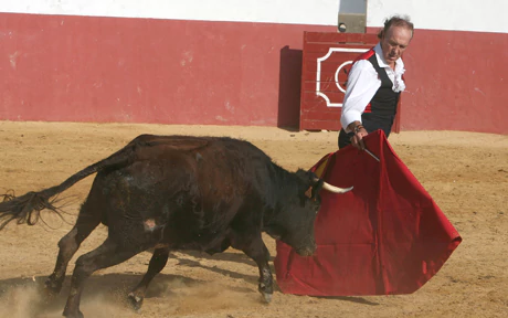 Frank Evans (bullfighter) British matador returns to bull ring aged 67 Telegraph