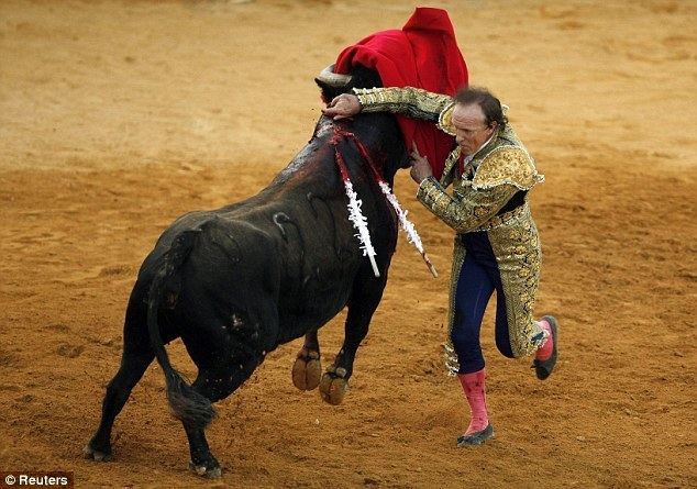 Frank Evans (bullfighter) Frank Evans Bullfighting at age 67 it39s the return of