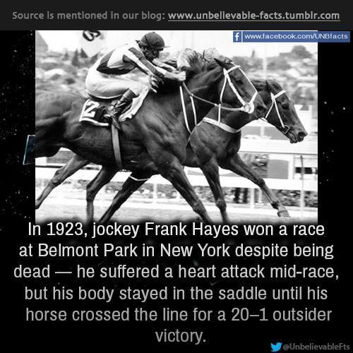 Frank Hayes (jockey) In 1923 jockey Frank Hayes won a race at Belmont Park in
