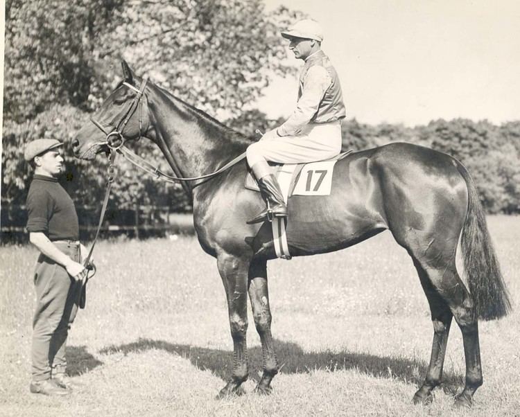 Frank Hayes (jockey) Strange History The Day a Dead Jockey Won at Belmont