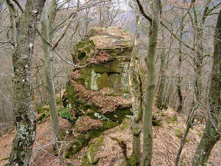 Frankenburg (Palatinate)