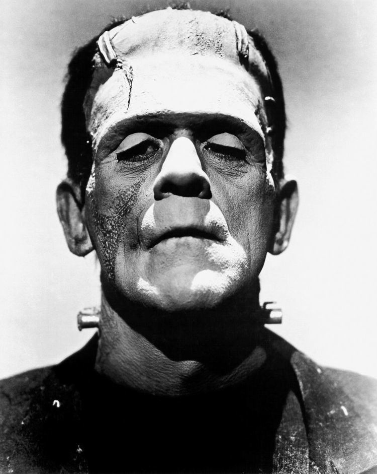 Frankenstein in popular culture
