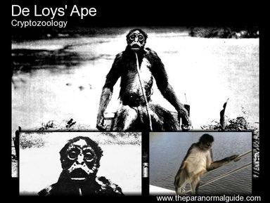 François de Loys De Loys39 Ape The Paranormal Guide
