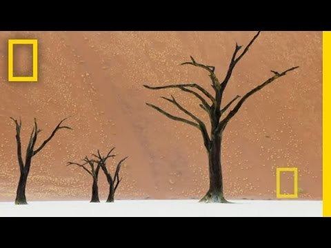Frans Lanting National Geographic Live The Surreal World of Frans