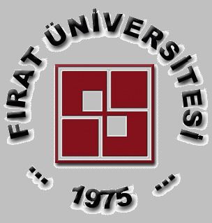 Fırat University httpsuploadwikimediaorgwikipediaen333Fir