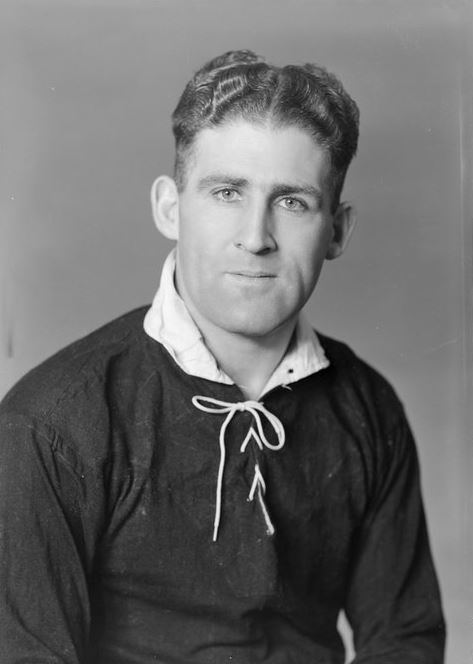 Fred Allen (rugby union) httpsuploadwikimediaorgwikipediacommonsee