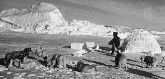 Fred Bruemmer Fred Bruemmer Photographer of Inuit Life in Canadas Arctic Walks