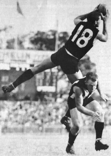 Fred Castledine Australian Football Fred Castledine Player Bio