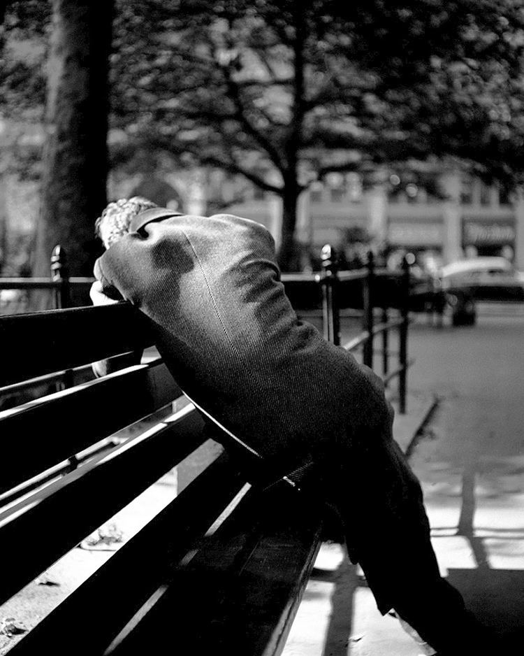 Fred Stein photos by Fred Stein everydayishow