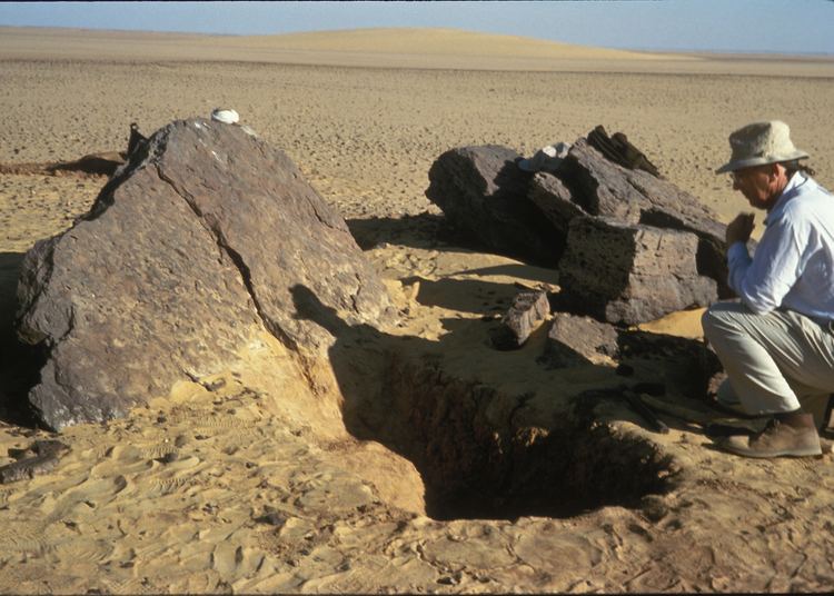 Fred Wendorf World renowned SMU archaeologist Fred Wendorf has died SMU