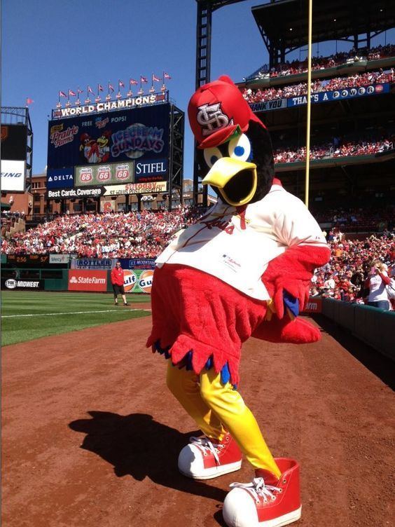Fredbird Fredbird St Louis Cardinals mascot MLB Mascots Pinterest