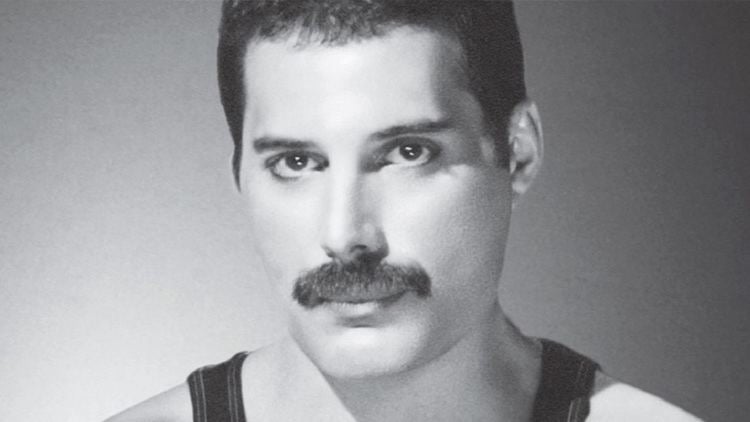 Freddie Mercury An open letter to Freddie Mercury Open Letter