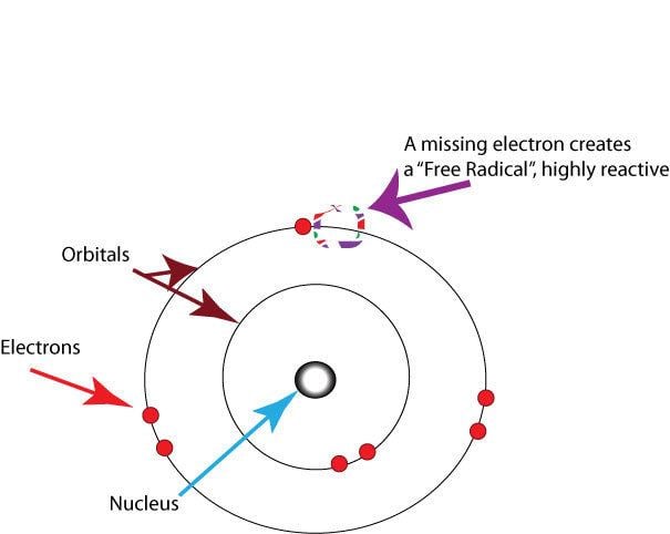 free-radical-theory-of-aging-alchetron-the-free-social-encyclopedia