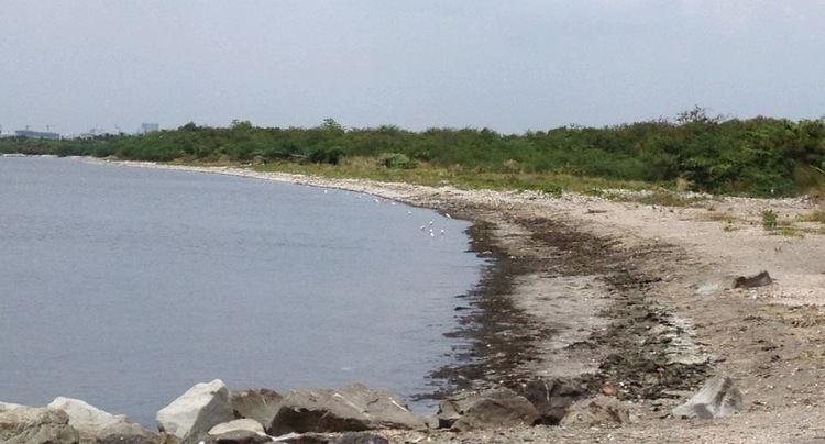Freedom Island Freedom Island Coastal Cleanup on World Oceans Day June 8