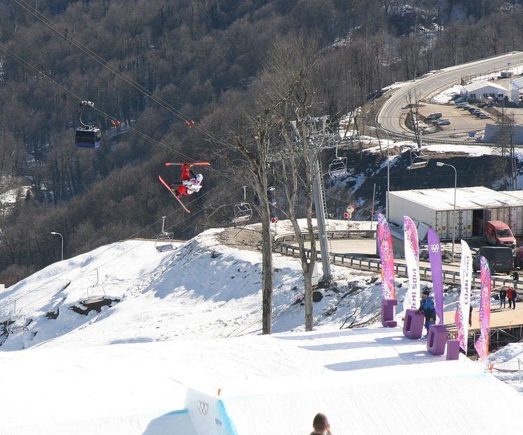 Freestyle skiing at the 2014 Winter Olympics – Men's slopestyle