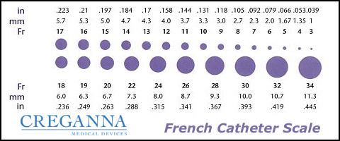 French catheter scale