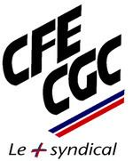 French Confederation of Management – General Confederation of Executives httpsuploadwikimediaorgwikipediaenthumb4