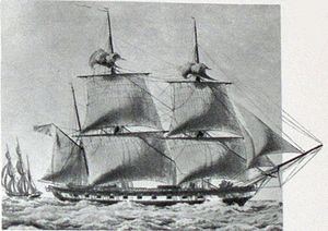 French corvette Diligente (1801) httpsuploadwikimediaorgwikipediacommonsthu