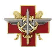 French Defence Health Service