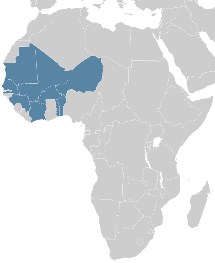 French West Africa List of GovernorsGeneral of French West Africa Wikipedia