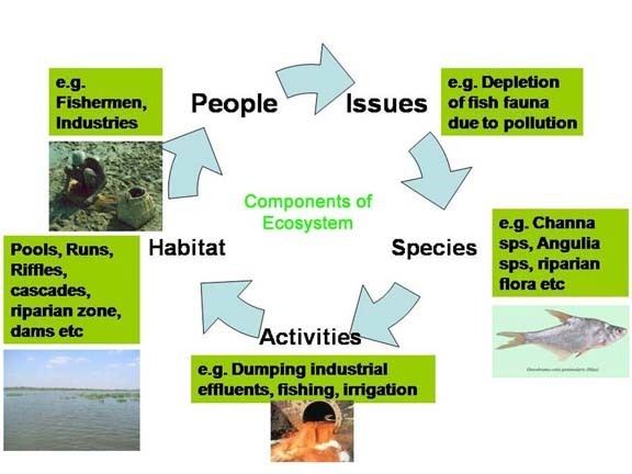 Freshwater ecology of Maharashtra