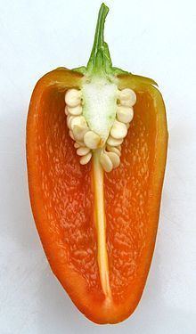 'Fresno Chili' pepper httpsuploadwikimediaorgwikipediacommonsthu