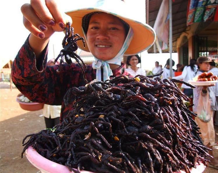 Fried spider Fried Spider 10 Most Odd and Bizarre Food in World People Eat
