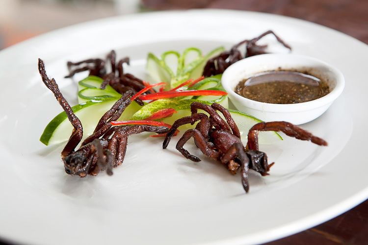 Fried spider Spiders in Skuon