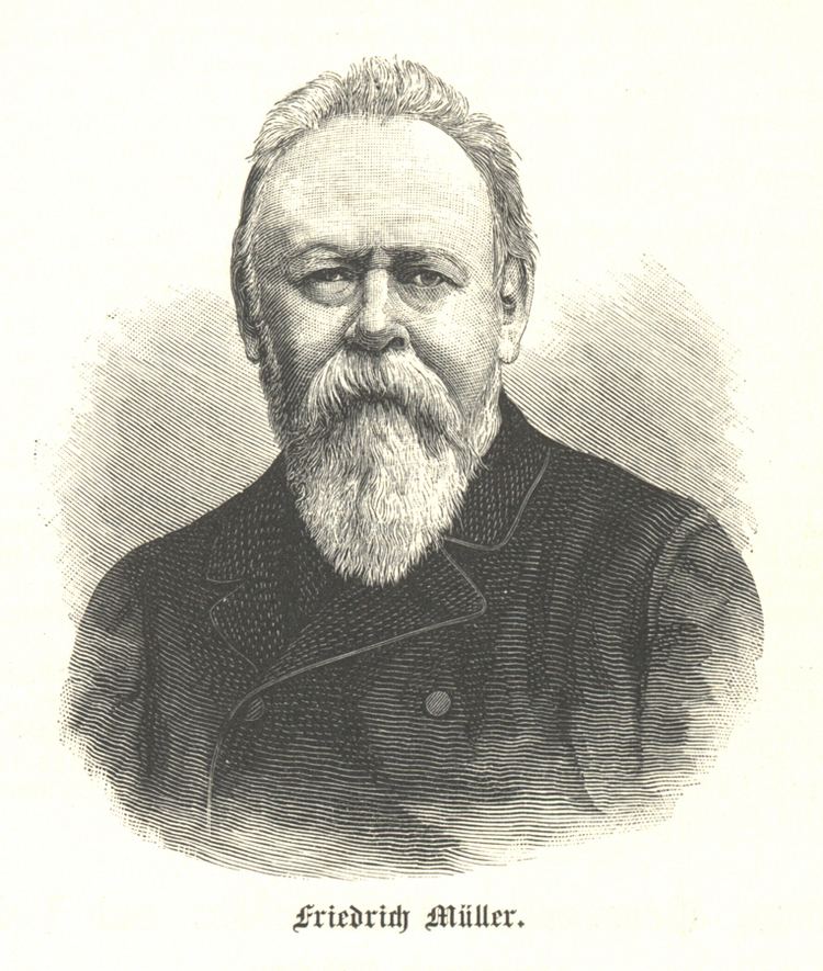 Friedrich Müller (linguist)