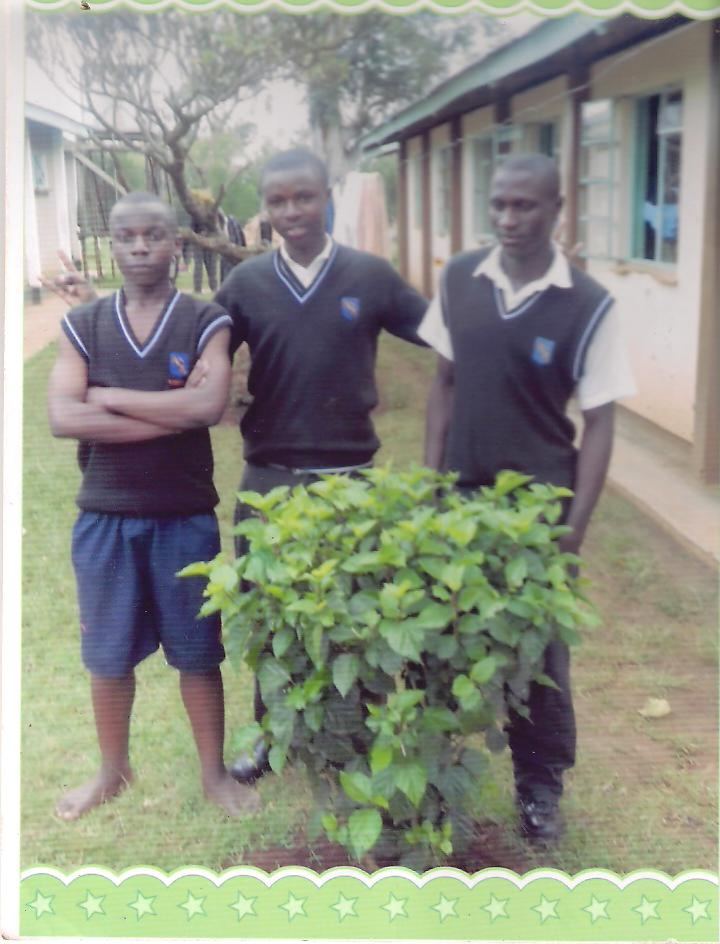 Friends School Kamusinga Lloyd Kenyani with friends at Friends School Kamusinga 201 Flickr