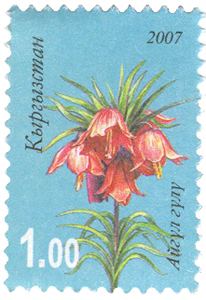 Fritillaria eduardii httpsuploadwikimediaorgwikipediacommonsbb