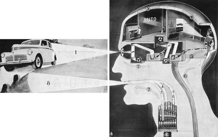 Fritz Kahn Man in Structure and Function