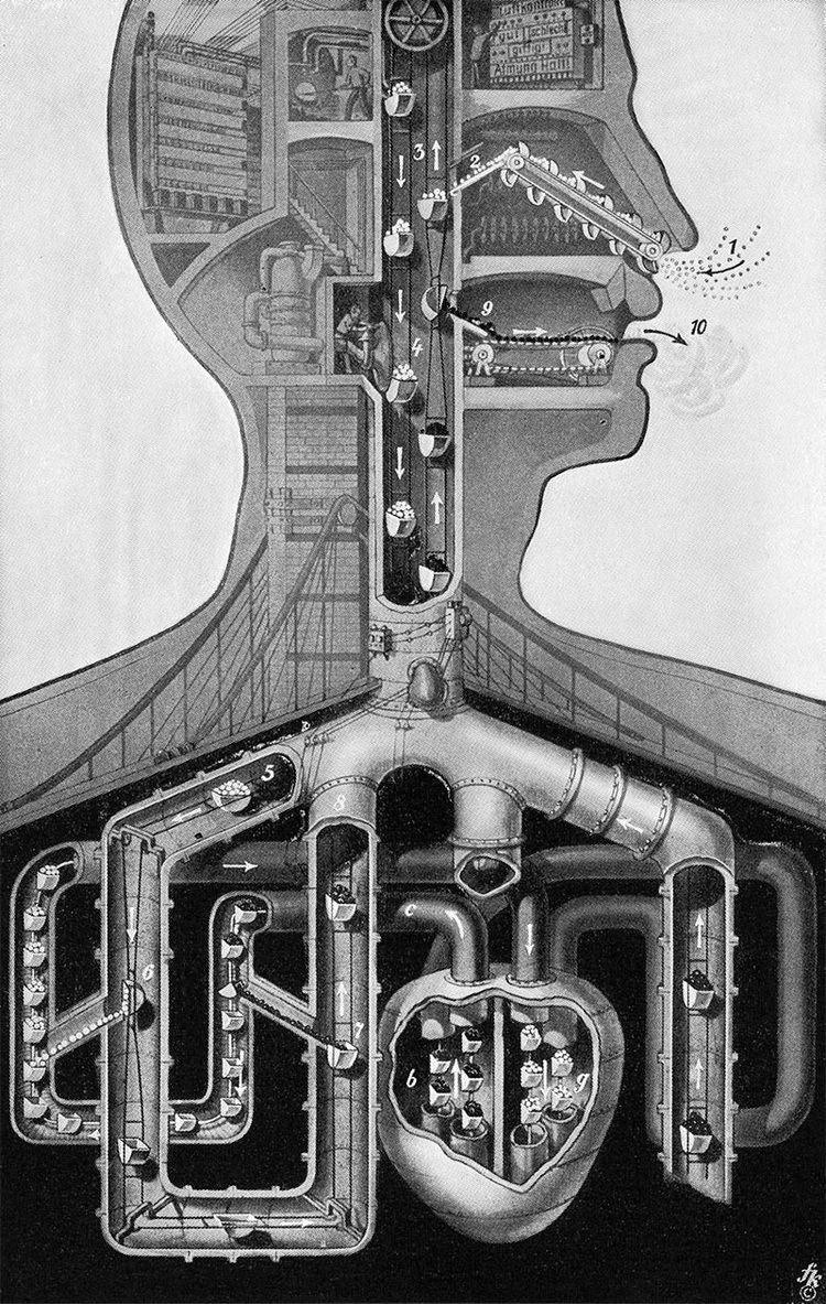Fritz Kahn Fritz Kahn Human Body as an Industrialized World SOCKS