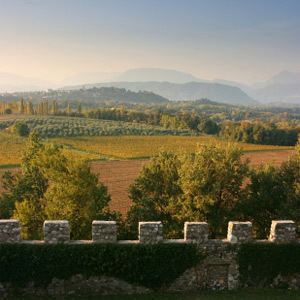 Friuli-Venezia Giulia wine Ultimate Guide to the FriuliVenezia Giulia Wine Region HowStuffWorks