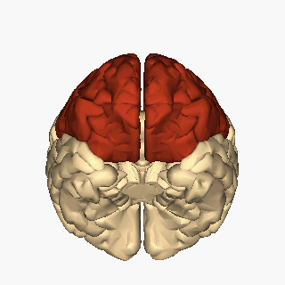 Frontal lobe disorder