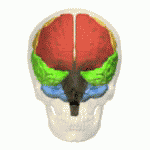 Frontal lobe injury