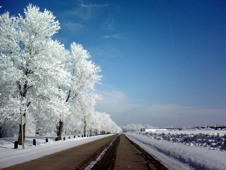 Frost (temperature)