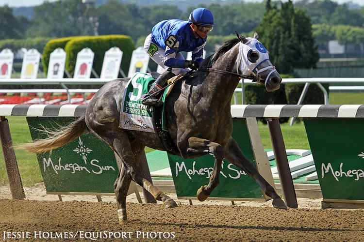 Frosted (horse) Speechless39 McLaughlin Lays Out Plans For Met Mile Victor Frosted