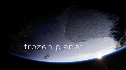 Frozen Planet Frozen Planet Wikipedia