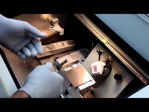 Frozen section procedure Frozen section tutorial Embedding and cutting specimens YouTube