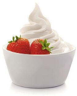 Frozen yogurt Frozen Yogurt Mixes Nanci39s Frozen YogurtNanci39s Frozen Yogurt