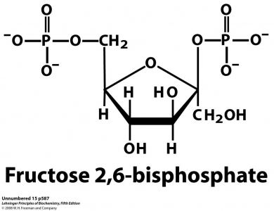Fructose 2,6-bisphosphate card23823251frontjpg