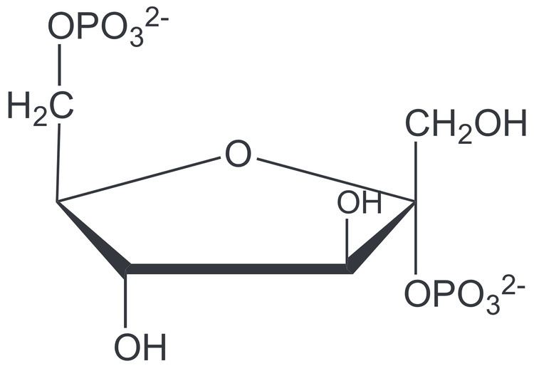 Fructose 2,6-bisphosphate Fructose 26bisphosphate Wikipedia