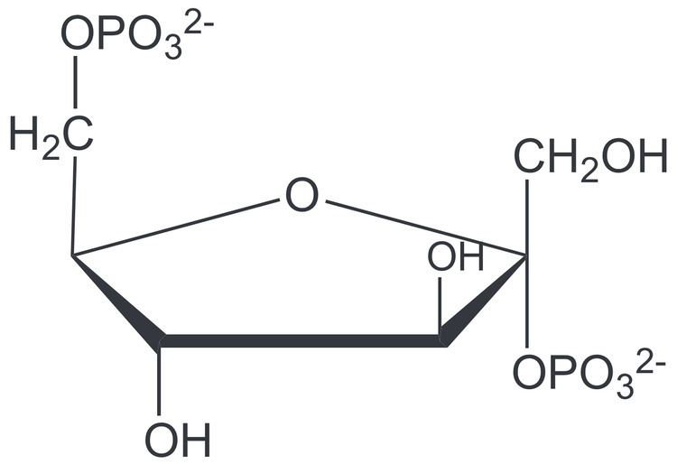 Fructose — Wikipédia