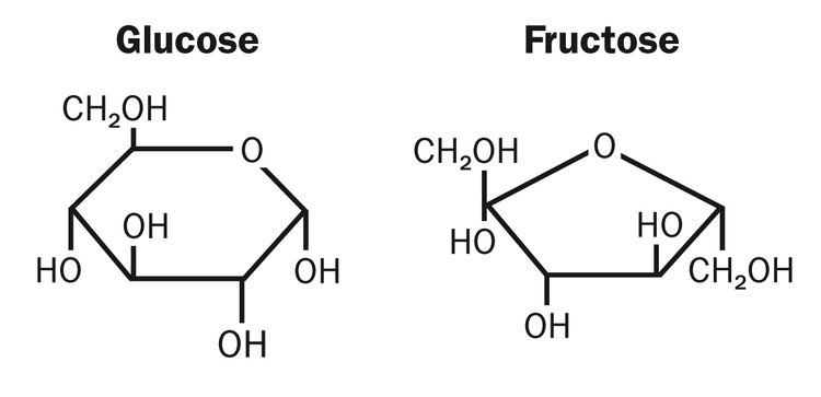 Fructose Want to Lose WeightIt39s Not ComplicatedPart IIForget Fructose