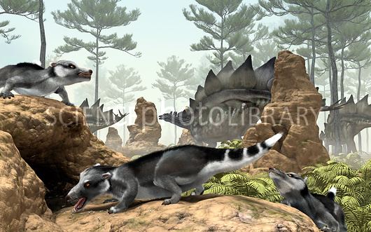 Fruitafossor Fruitafossor prehistoric mammals artwork Stock Image C0170676