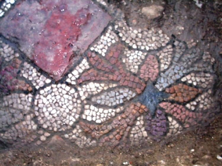 Frumușeni Mosaics