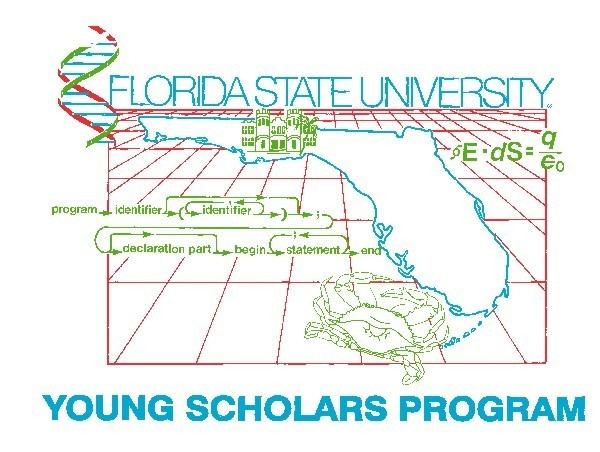 FSU Young Scholars Program