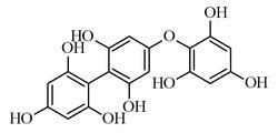 Fucophlorethol A httpsuploadwikimediaorgwikipediacommonsthu