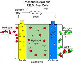 Fuel cell A Basic Overview of Fuel Cell Technology